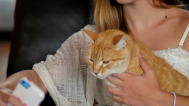 Eine-junge-schöne-Frau-macht-ein-Selfie-mit-einer-orange-tabby-Katze