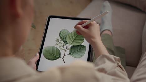 Artista-dibujo-plantas-en-home-habitación-o-mujer-usando-la-tableta-y-la-pluma-para-el-arte-digital