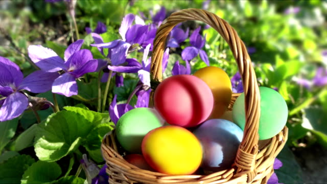 Canasta-de-Pascua-con-los-huevos-coloreados-entre-las-primaveras
