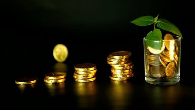 Management-efficiency.-Stacks-of-golden-coins-near-full-glass-and-green-leaf-of-sprout-on-black-background.-Success.