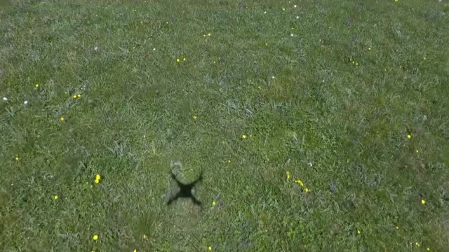Der-Schatten-einer-Drohne,-die-über-eine-Alpenwiese-fliegt.