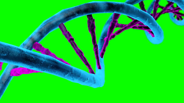 Animated-DNA-chain.-Rotation-DNA