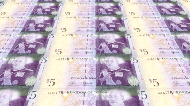 Banknoten-der-fünf-tonganischen-Paʻanga-von-Tonga,-Bargeld,-Schleife