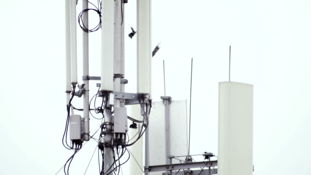 Telekommunikation-Antenne-im-Hintergrund-von-einem-bewölkten-Himmel.-Vögel-sind-in-der-Nähe-der-Antenne-schwebt.-Close-up