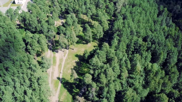 Top-view-of-the-path-through-the-trees.-Clip.-Top-view-of-the-beautiful-Park-with-tall-trees-in-summer