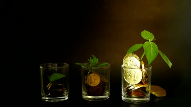 Goldmünzen-in-Glas-und-grüne-Blatt-sprießen-auf-schwarzem-Hintergrund.-Erfolg-der-Finance-Geschäft,-Investitionen,-Ideen.