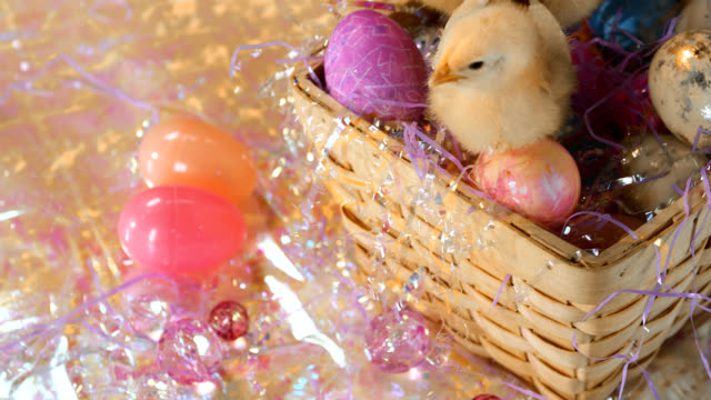 Cute-chicks-sit-in-an-Easter-basket-with-eggs.-Medium-shot