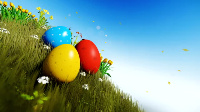 Coloridos-huevos-de-Pascua-en-prado-verde-con-hermosas-flores,-panorámica