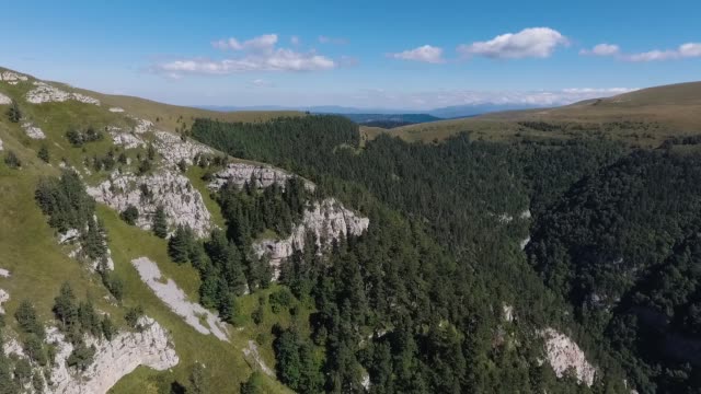 Luftaufnahme-der-mit-Wald-bewachsenen-Berghänge.