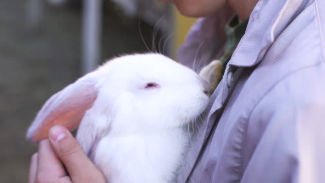 Concept-cute-beautiful-animals.-A-happy-boy-holds-a-small-white-rabbit.-Contact-with-bunny-and-pets.-Children's-summer-vacation.-Friendly-relations-between-people-and-animals.-Close-up.