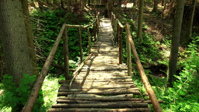 Puente-de-madera-sobre-el-acantilado-en-el-bosque.-4K.