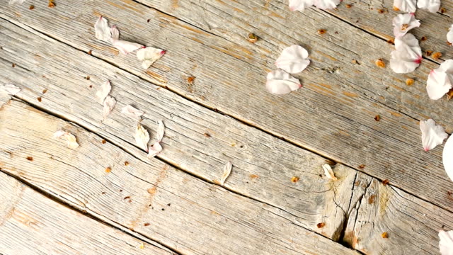 Ostereier,-panning,-alten-Holztisch-und-Mandelblüte-Blütenblätter