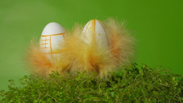 Huevos-de-Pascua-con-plumas-de-colores.