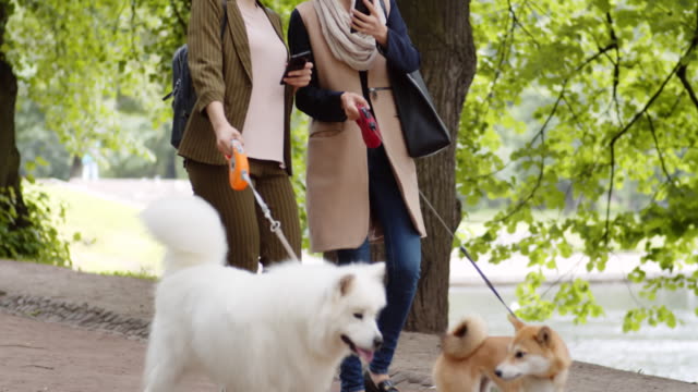 Zwei-Frauen-mit-Hunden-mit-Gadgets-im-Freien