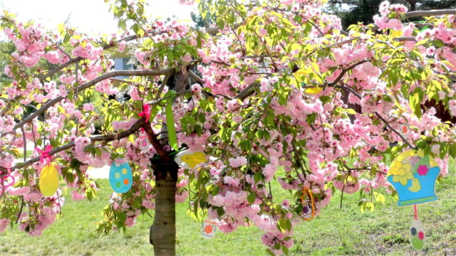 Easter-Tree-In-the-Garden---Modern-Public-Building-Kindergarten---Preschool