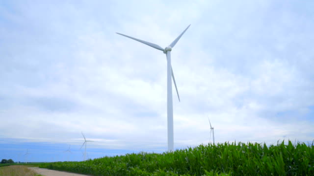 Windkraftanlagen-auf-der-grünen-Wiese.-Landschaftspflege-mit-Windgeneratoren