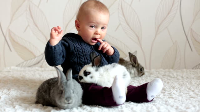 Little-toddler-child,-baby-boy,-playing-with-bunnies