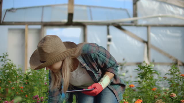Beautiful-woman-florist-walks-through-the-greenhouse-with-a-tablet-computer-checks-the-grown-roses,-keeps-track-of-the-harvest-and-check-flower-for-business-clients.