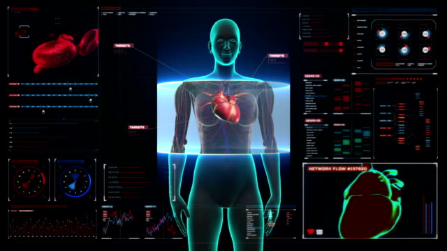 Weibliches-Körperscanen-Herz.-Menschliches-Herz-Kreislauf-System-in-digitaler-Darstellung.