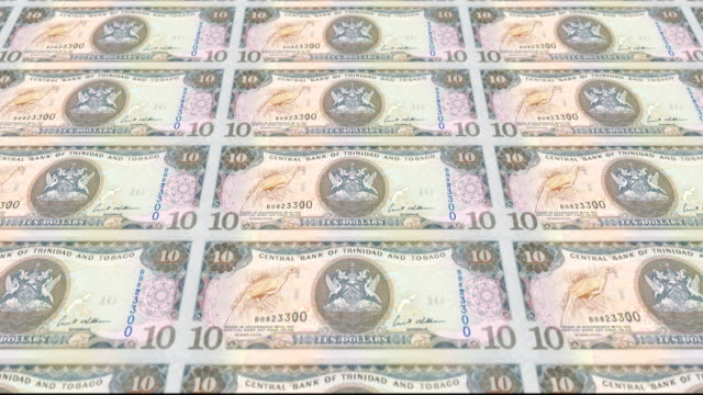 Banknoten-von-zehn-Dollar-von-Trinidad-und-Tobago,-Bargeld,-Schleife