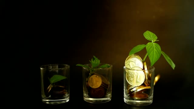 Goldmünzen-in-Glas-und-grüne-Blatt-sprießen-auf-schwarzem-Hintergrund.-Erfolg-der-Finance-Geschäft,-Investitionen,-Ideen.