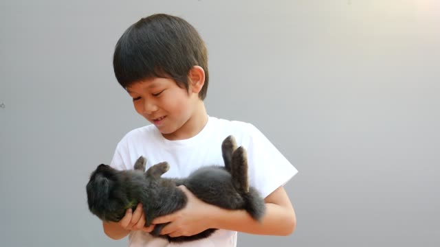 Joven-niño-Asiático-está-jugando-con-el-conejo-negro-encantador