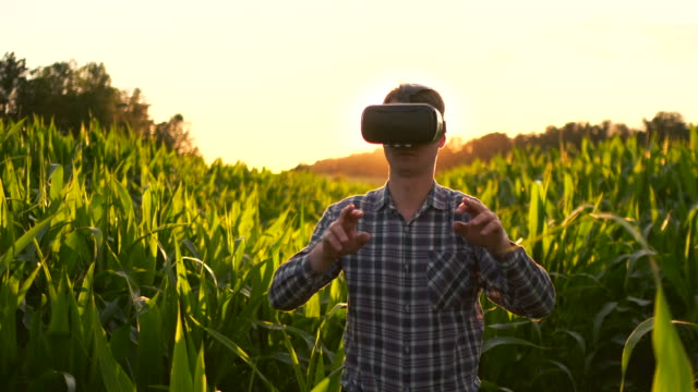 Future-farmer-uses-VR-glasses-to-manage-corn-plantations-and-control-the-quality-of-plants-at-sunset-in-the-field