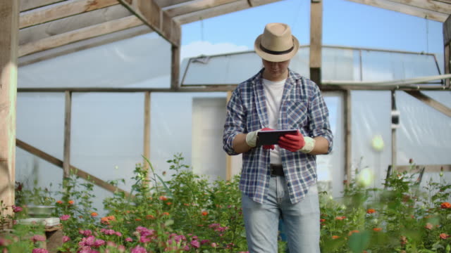 Young-entrepreneur-hothouse-owner-is-doing-inventory-in-greenhouse-counting-plants-and-entering-information-in-tablet.-Attractive-man-is-busy-checking-greenery