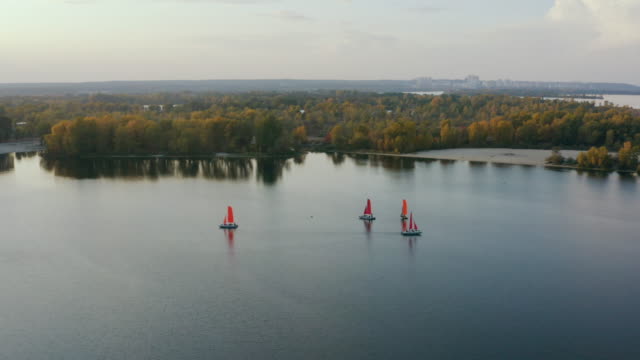 The-aerial-shot-of-boats-glide-on-the-river