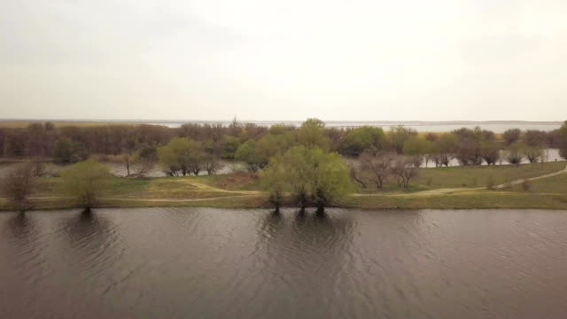 Trees-on-river-shore-and-cape-river-on-background-cloudy-sky-drone-view