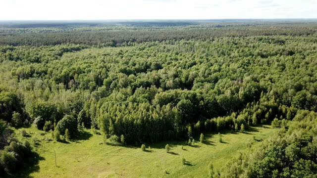 Vista-aérea-del-paisaje-pintoresco-bosque-en-Rusia-central