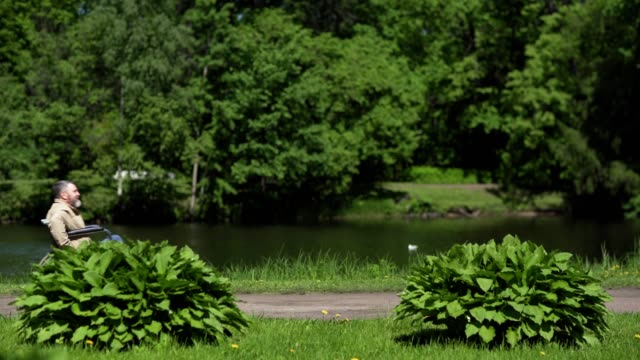Lockdown-side-view-shot-of-bearded-senior-man-in-wheelchair-riding-down-path-in-green-park.-Active-disabled-man-passing-by-small-lake-on-summer-day