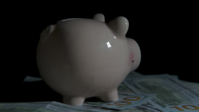Piggy-bank-spinning-on-money.