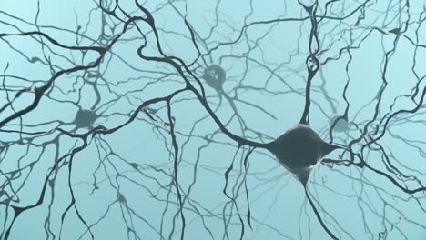 Neuron-Cluster-Signalübertragung-im-3D-Modell-des-Gehirns