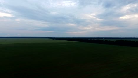 Drone-flying-over-green-field-at-cloudy-weather.