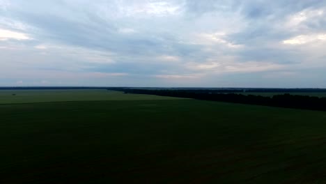 Drohne-fliegt-über-grüne-Feld-bei-bewölktem-Wetter.