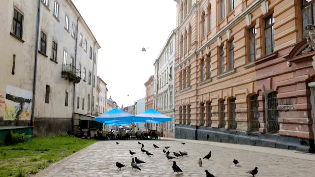 Doves-walking-around-outdoor-cafe-on-Lviv-street-in-poor-dirty-area,-urban-life