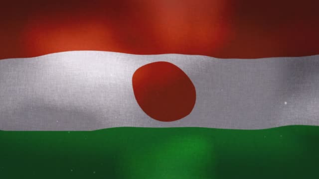 Bandera-Nacional-de-Níger-agitando