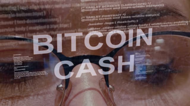 Bitcoin-Geldtext-auf-dem-Hintergrund-von-Entwicklerinnen
