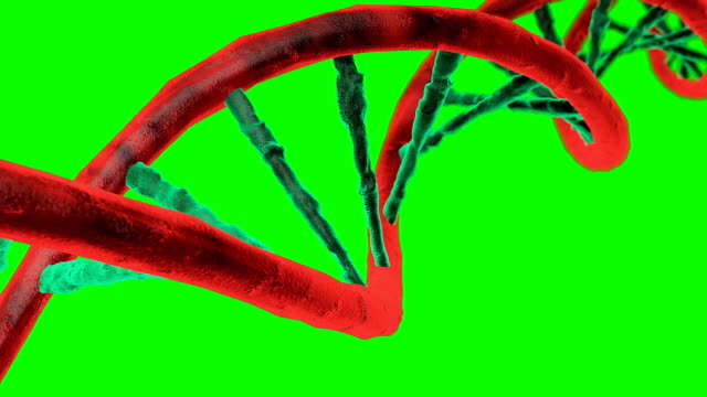 Animated-DNA-chain.-Rotation-DNA