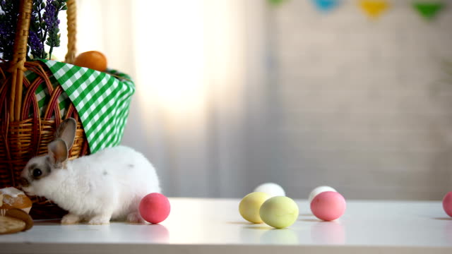 Conejito-de-Pascua-comiendo-dulce-pastel,-huevos-coloreados-y-cesta-en-la-mesa,-alimentos