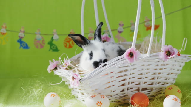 Little-bunny-in-white-basket-with-decorated-eggs