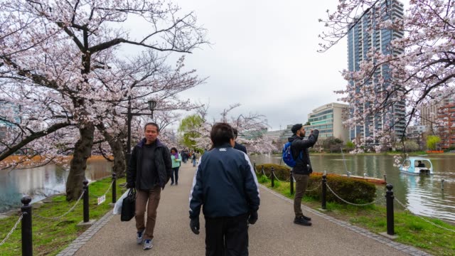 time-lapse-of-Cherry-blossom-festival-at-Ueno-Park.-Ueno-Park-is-one-of-the-best-place-to-enjoy-it,-Tokyo,-Japan