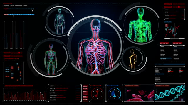 Escáner-femenino-de-vasos-sanguíneos,-linfático,-sistema-circulatorio-en-pantalla-digital