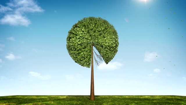 Baum-Form-Kreisdiagramm-zu-wachsen.-90-Prozent-angegeben.-grünes-Symbol.