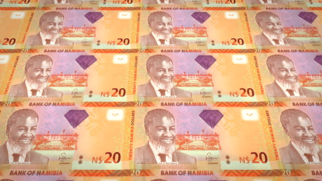 Banknoten-von-20-namibische-Dollar-Namibias,-Bargeld,-Schleife
