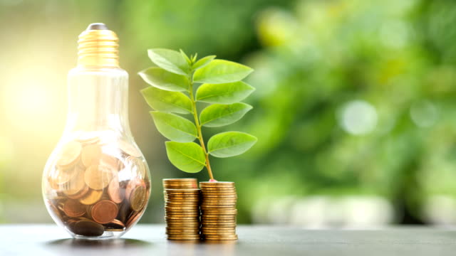 Energy-saving.-stacks-of-coins-growing-in-light-bulb-and-tree-growing-on-stacks-of-coins-and-Motion-tree-nature-background.-Saving,-Natural-energy-and-financial-concept.-video-4K-Slow-motion