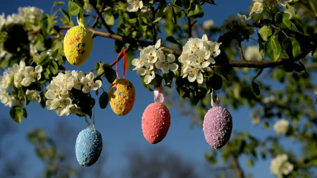 Los-huevos-de-Pascua-coloreados-cuelgan-en-la-rama-floreciente-de-la-manzana.