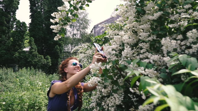 Smartphone.-Eine-junge-Frau-nimmt-Blumen-auf-einem-Smartphone.