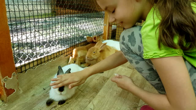 Kleines-Mädchen-dekorative-Kaninchen-füttern-und-mit-ihnen-kommuniziert